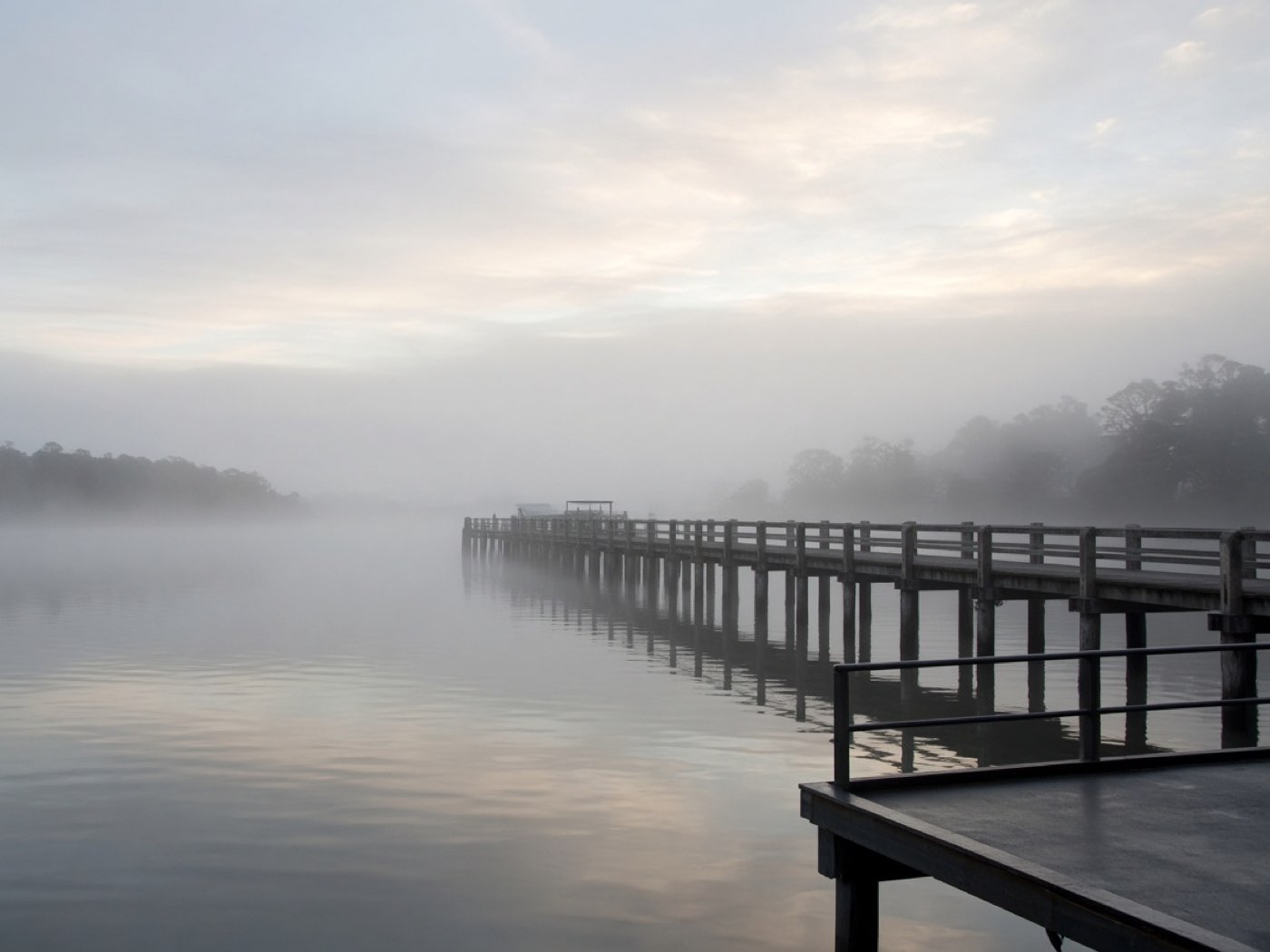Looking back at the wharf in the mist